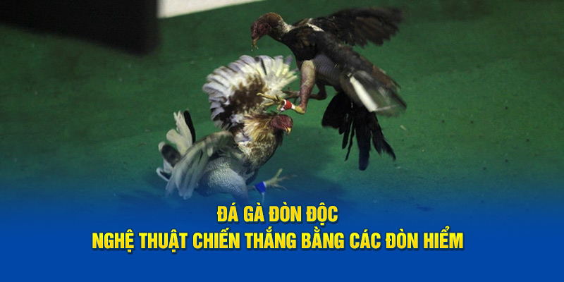 Đá Gà Đòn Độc: Nghệ Thuật Chiến Thắng Bằng Các Đòn Hiểm